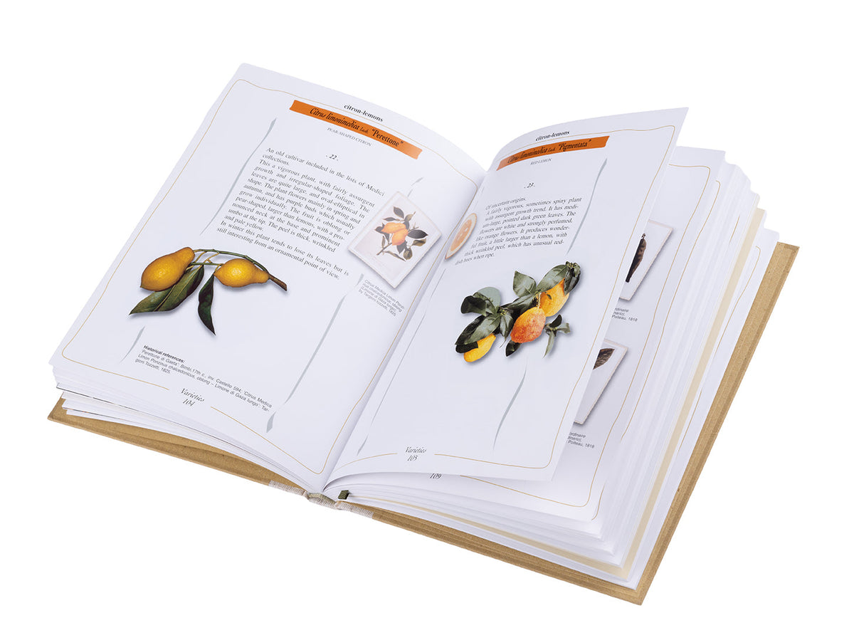 Ornamental Citrus Plants Book
